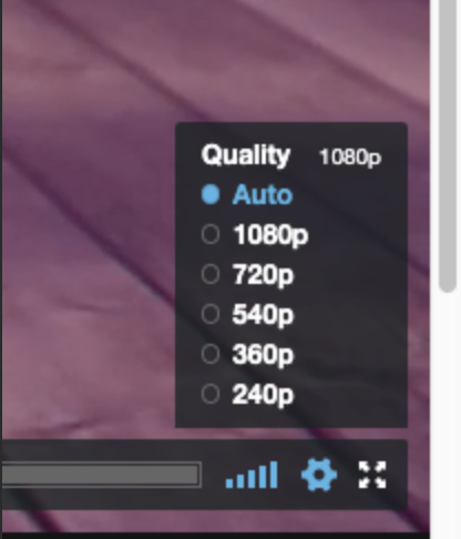 Screen Shot 2020-01-22 at 4.40.08 PM